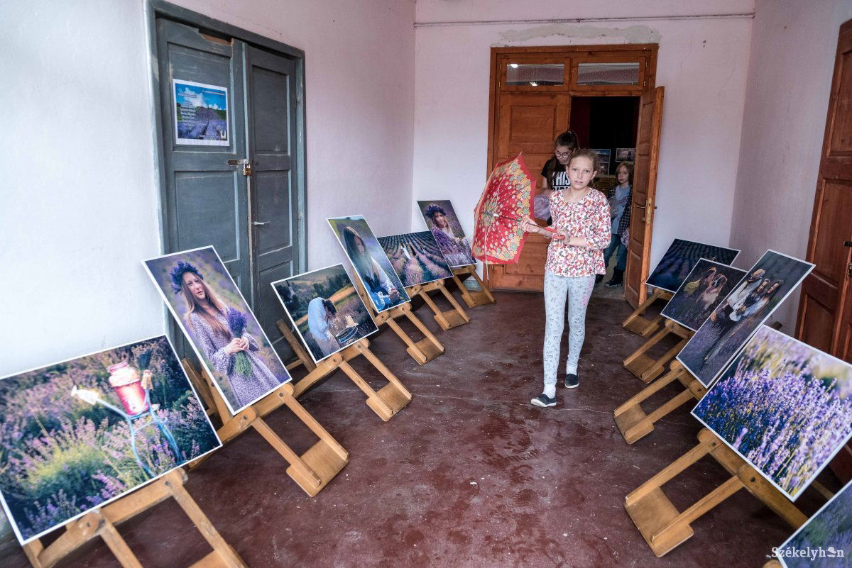 •  Fotó: Veres Nándor