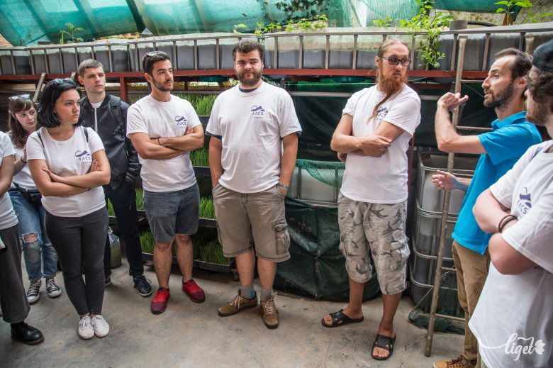 A diákoknak van mire rácsodálkozni •  Fotó: Barabás Ákos