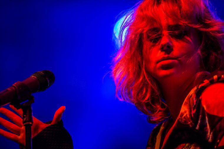 Koncertek az utolsó napon – képtörténet