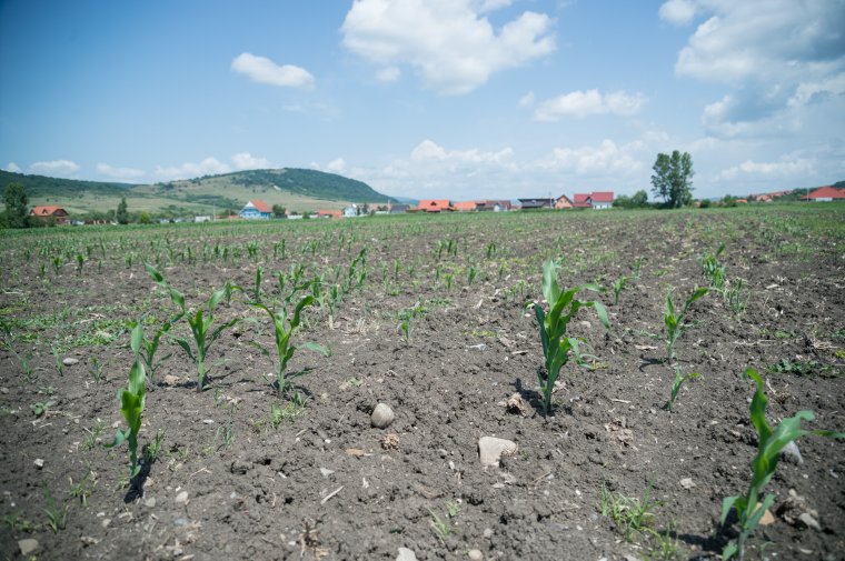 A gazdákra ki gondol?