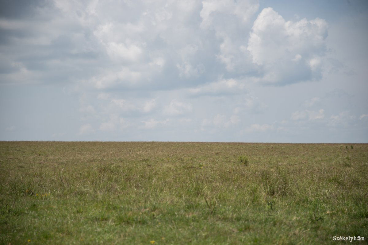Kápolnáson legutóbb tizenöt éve volt akkora aszály, mint idén &bullet;  Fotó: Barabás Ákos