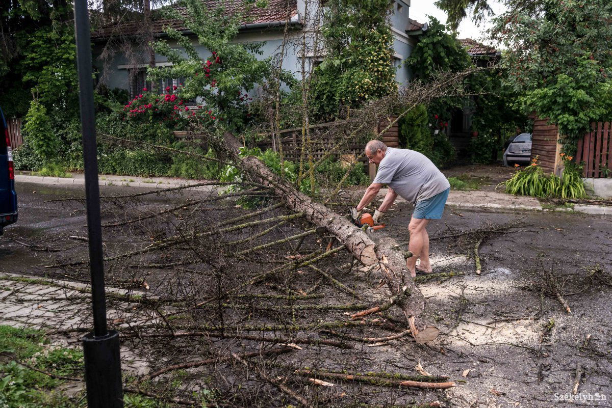 &bullet;  Fotó: Veres Nándor