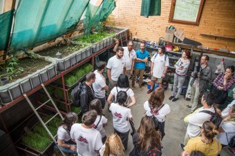 Aquapónia: ahol a hal kertészkedik