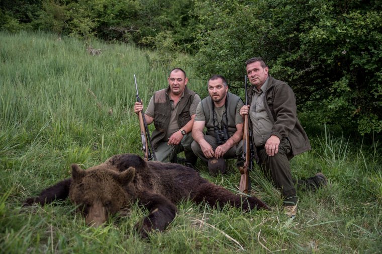 Hatékonynak tartják a vadászati törvényt – kárpótolja az állam a vadállatok áldozatait, illetve azok hozzátartozóit