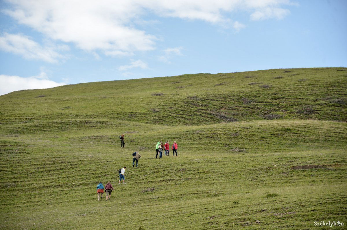&bullet;  Fotó: Barabás Ákos