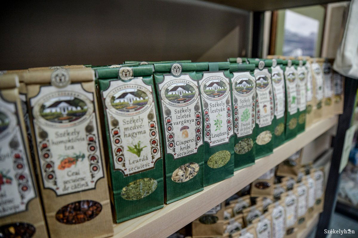 •  Fotó: Barabás Ákos