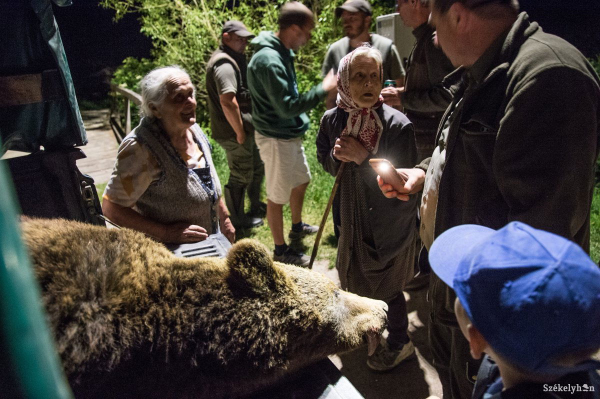 •  Fotó: Barabás Ákos