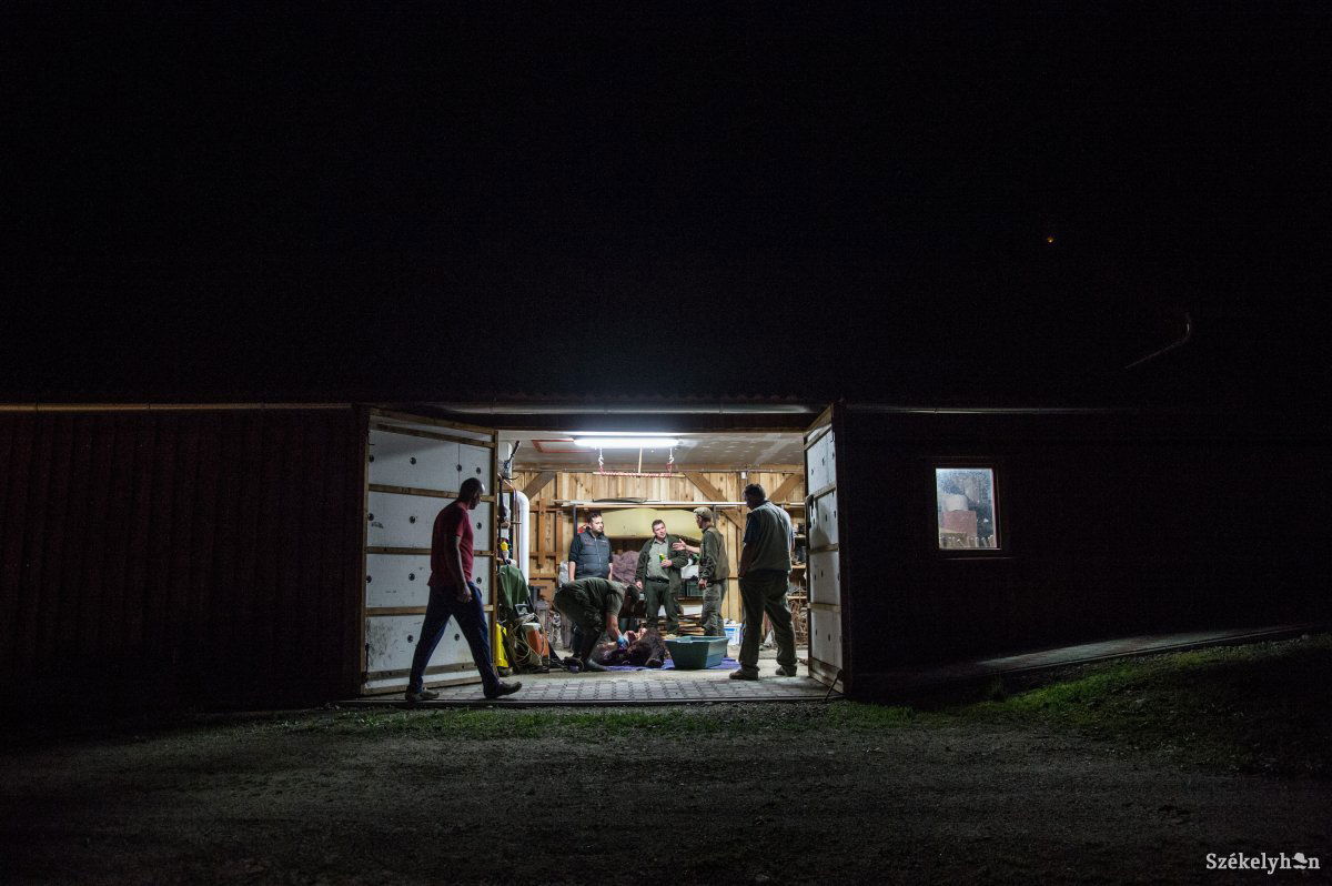 •  Fotó: Barabás Ákos