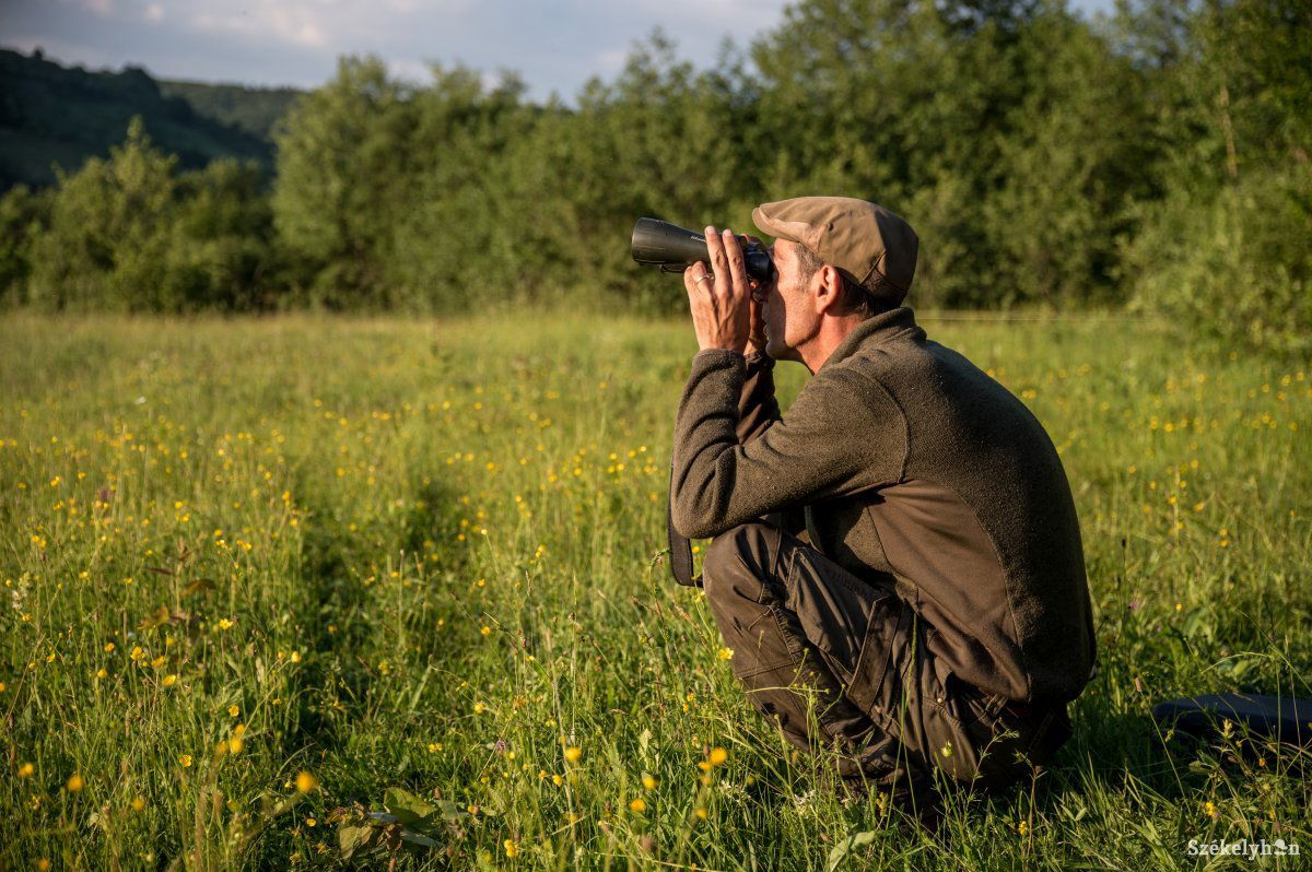 Engedély hiányában nem lőhető ki a Patakfalvánál emberre támadó medve. Lassan őrölnek a minisztérium malmai. Képünk illusztráció •  Fotó: Barabás Ákos