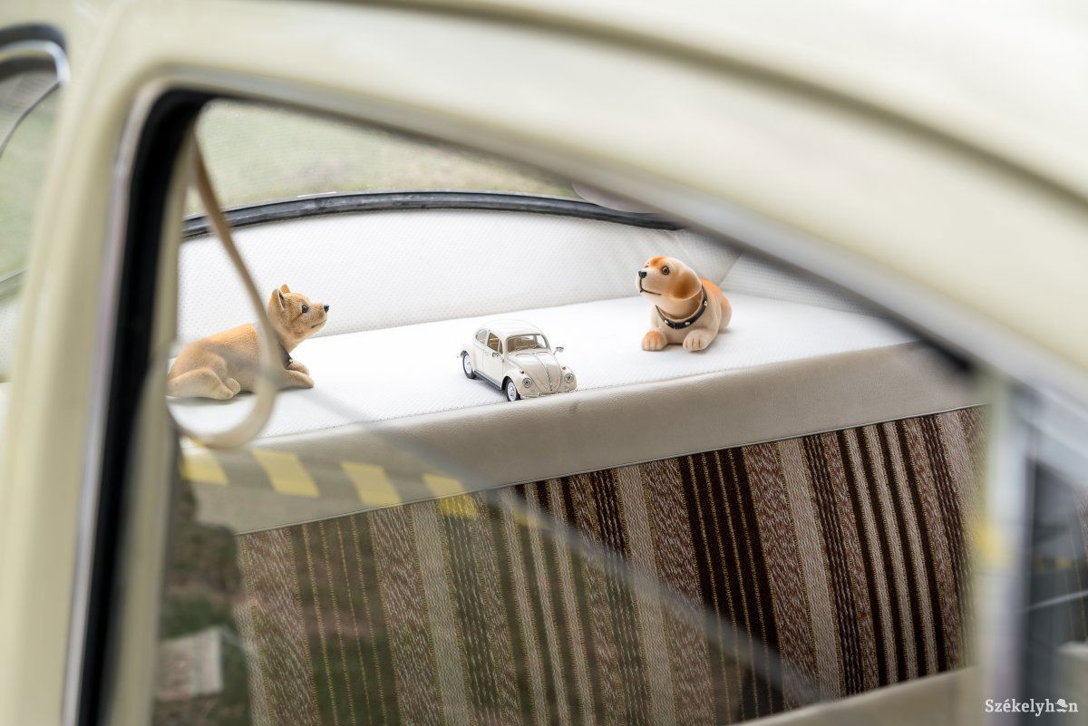 &bullet;  Fotó: Veres Nándor