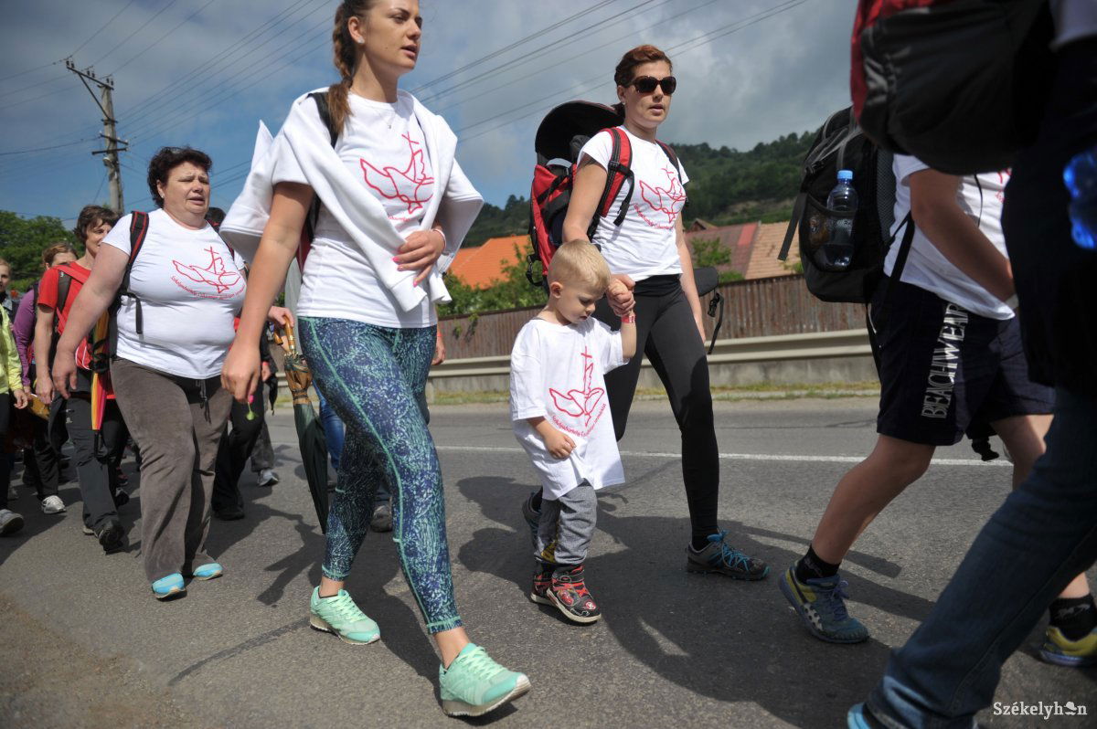 •  Fotó: Beliczay László