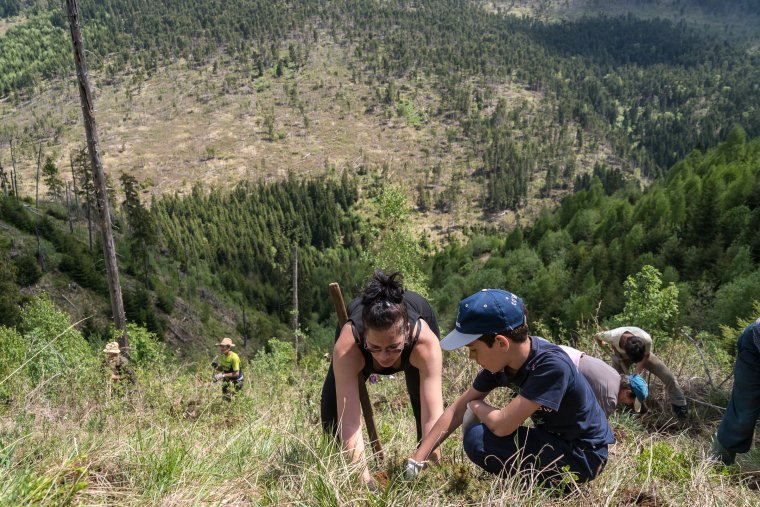 „Államosított” természetvédelem – A civilek attól tartanak, hogy beindul a gazdasági érdekek által vezérelt pusztítás