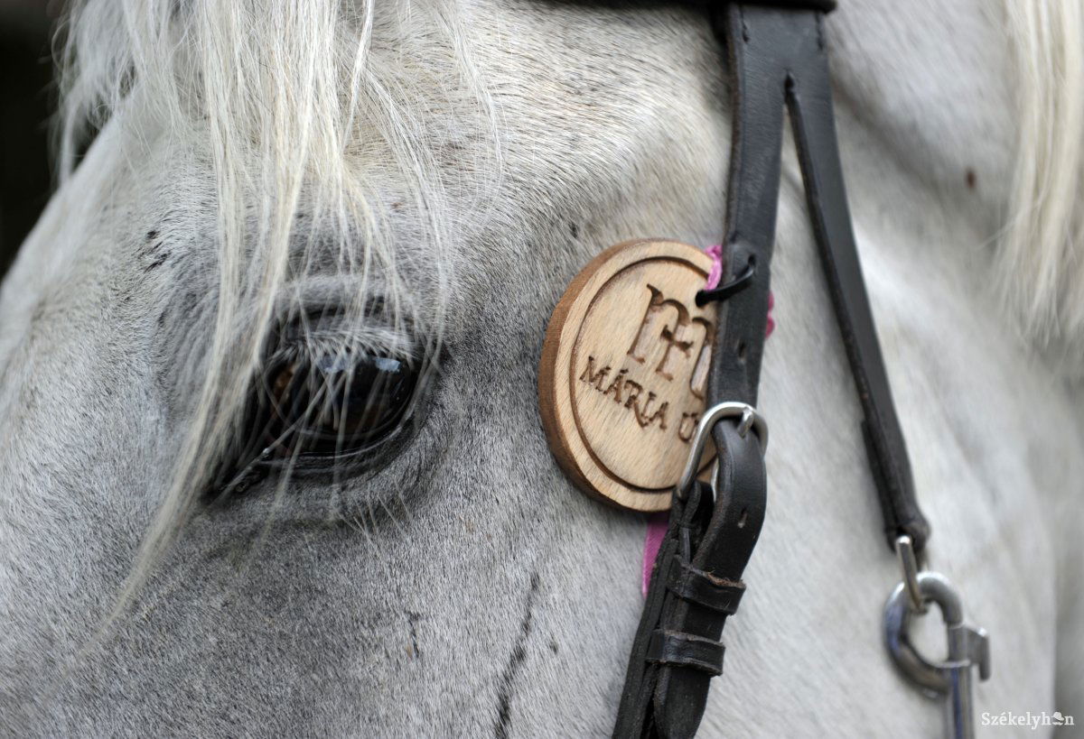 &bullet;  Fotó: Beliczay László