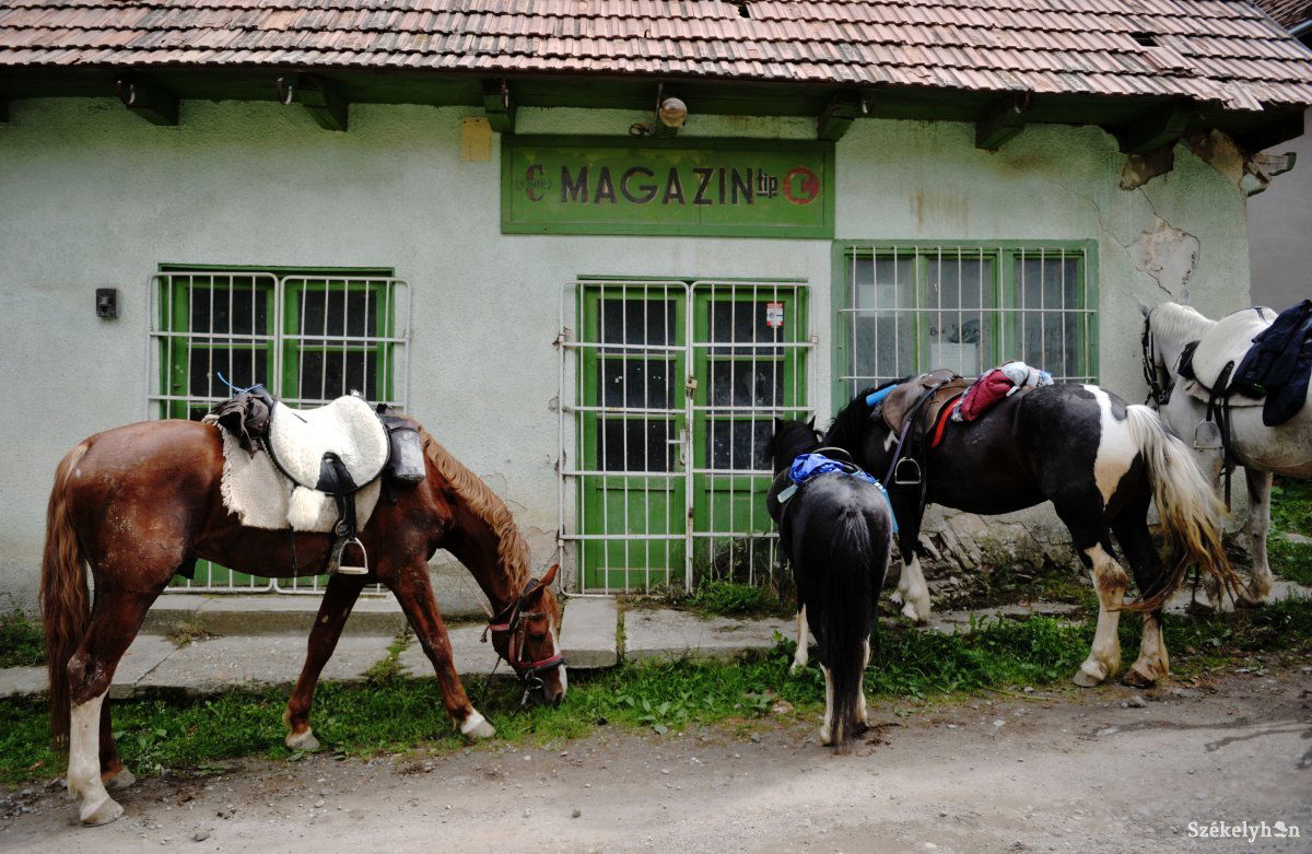 &bullet;  Fotó: Beliczay László