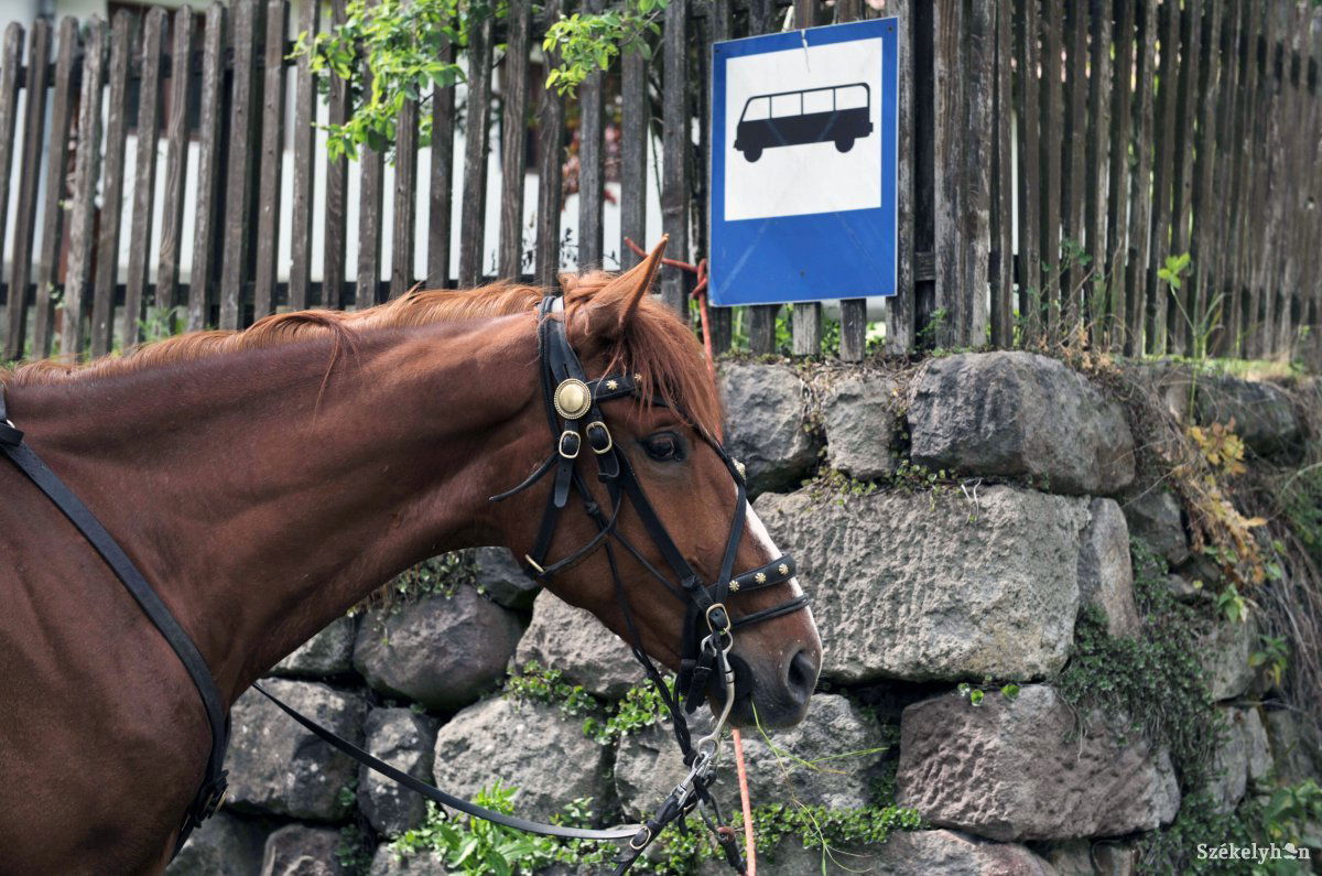 &bullet;  Fotó: Beliczay László