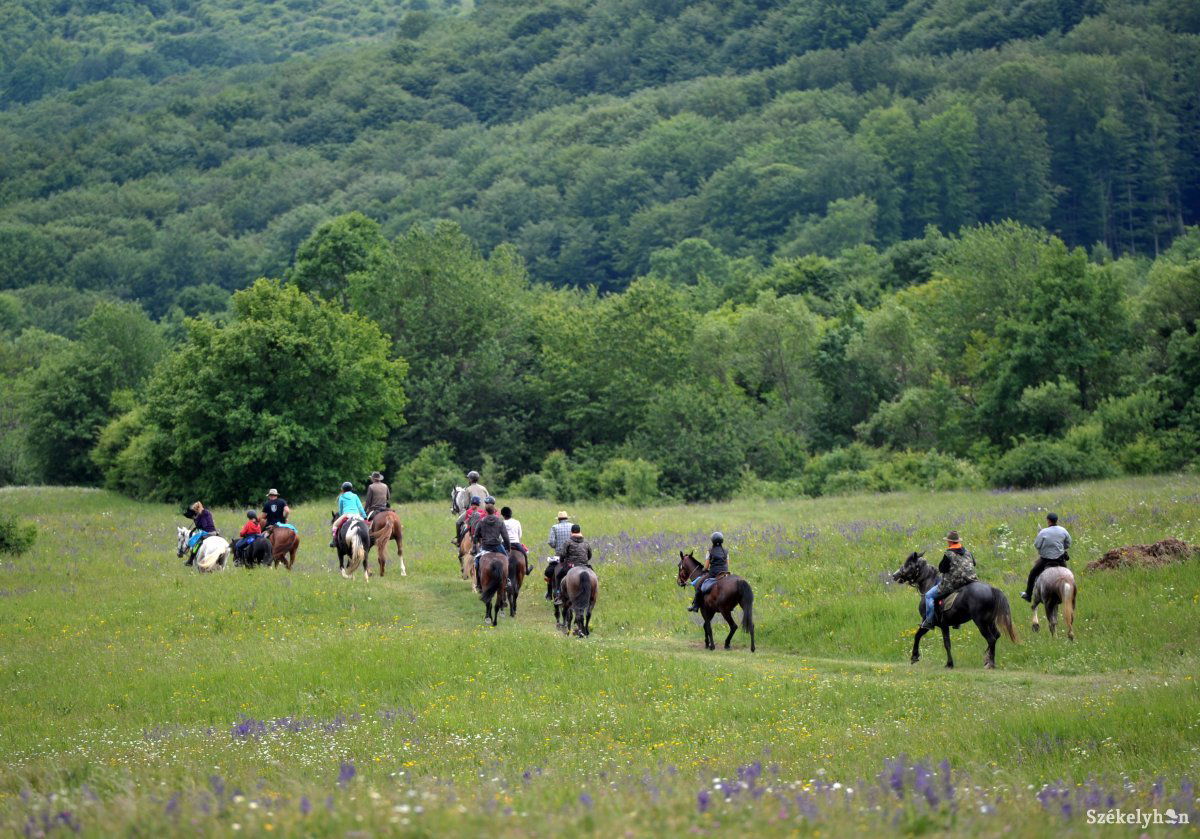 &bullet;  Fotó: Beliczay László