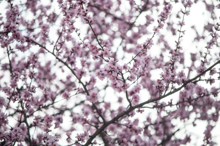 Felmelegedést és kevés csapadékot jósolnak húsvétra és május elsejére a meteorológusok