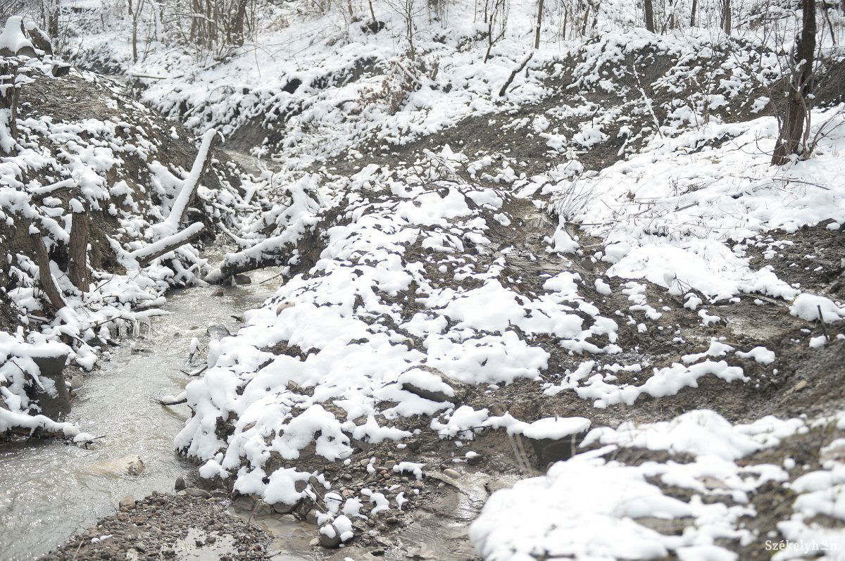 •  Fotó: Barabás Ákos