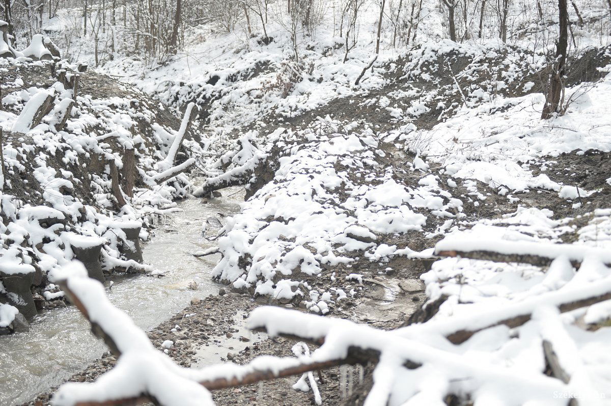 •  Fotó: Barabás Ákos