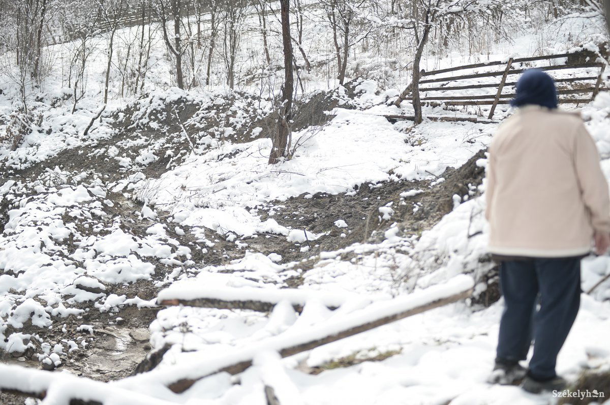 •  Fotó: Barabás Ákos