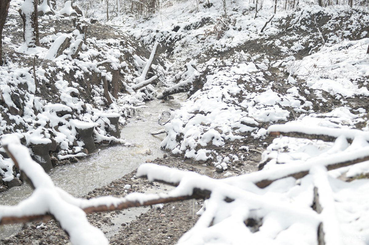 Több kert hátsó része vált megközelíthetetlenné •  Fotó: Barabás Ákos