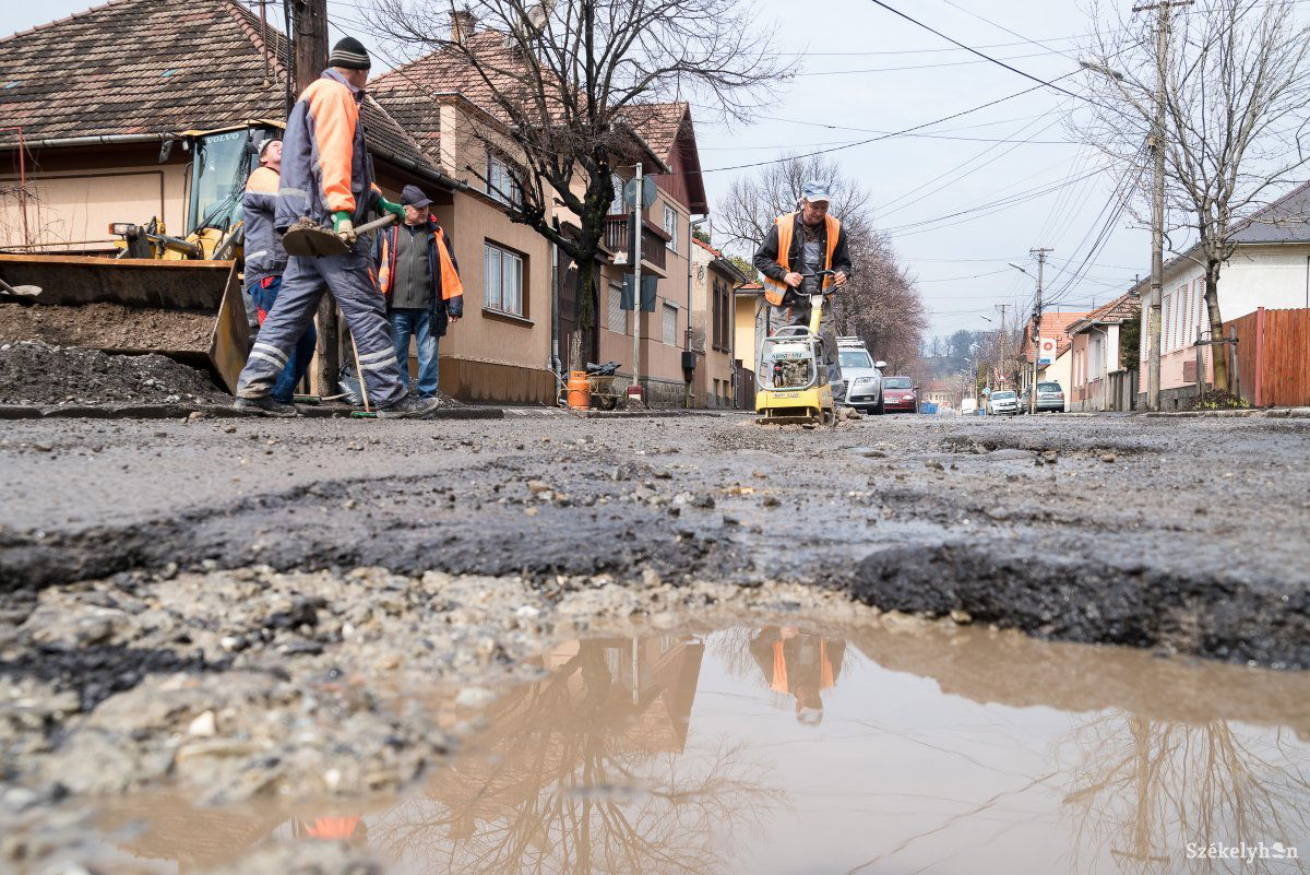 •  Fotó: Veres Nándor