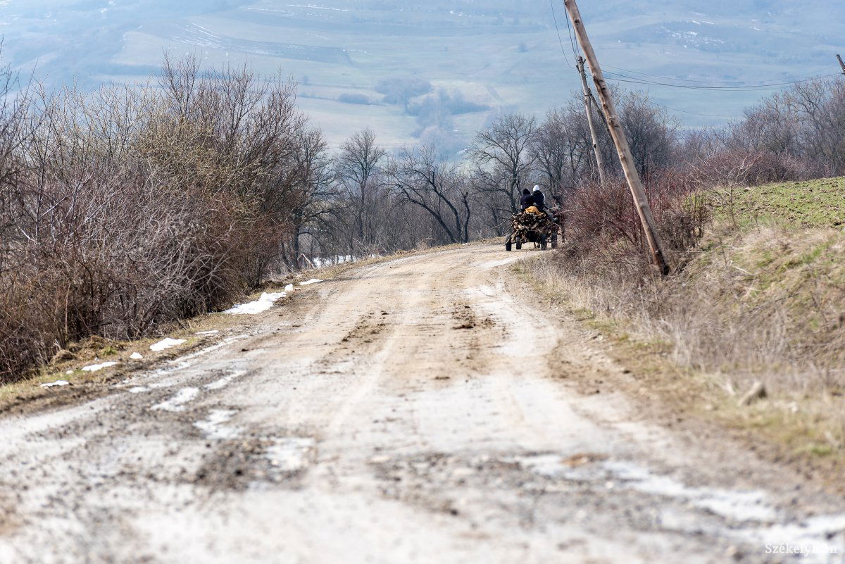 •  Fotó: Veres Nándor