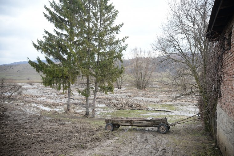 Takarmányt gyűjtenek az árvízkárosult háromszéki gazdáknak