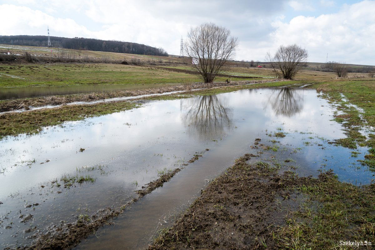 Pénteken még megállt a víz a mezőn, de vasárnapra már jórészt elnyelte a talaj •  Fotó: Veres Nándor