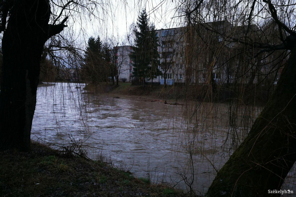 •  Fotó: Fülöp-Székely Botond