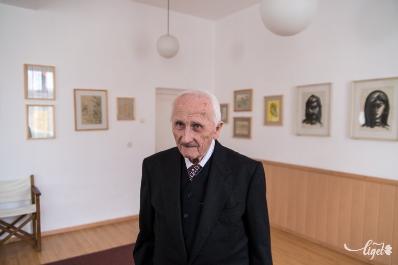 Ha nem a művészi pálya mellett dönt, állatorvosnak ment volna •  Fotó: Veres Nándor