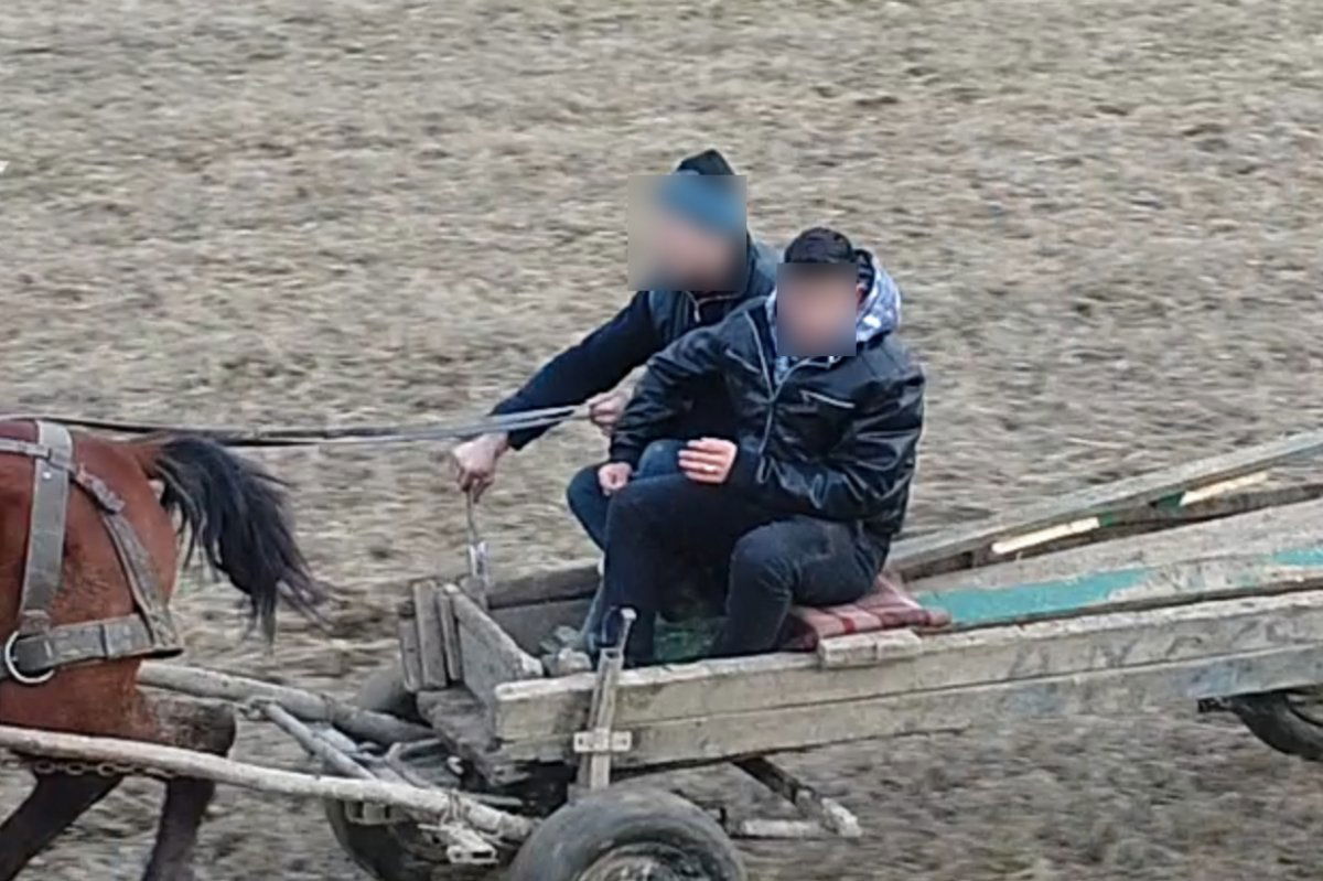 „Munkavégzés” után. Nyomukban a drón •  Fotó: Mihálydeák Antal