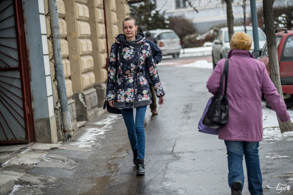 Kitti már Székelyudvarhely utcáit rója •  Fotó: Barabás Ákos