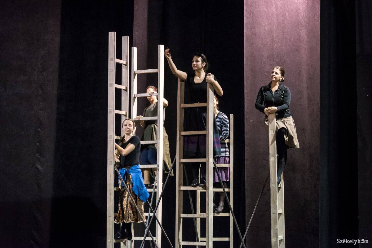 •  Fotó: Veres Nándor