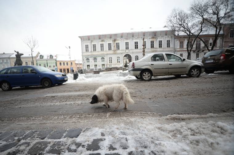 Fagy, havas eső, havazás várható