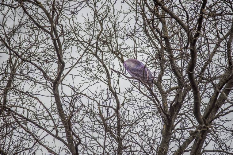 Még egy dolog, ami megosztja az udvarhelyieket: lampion