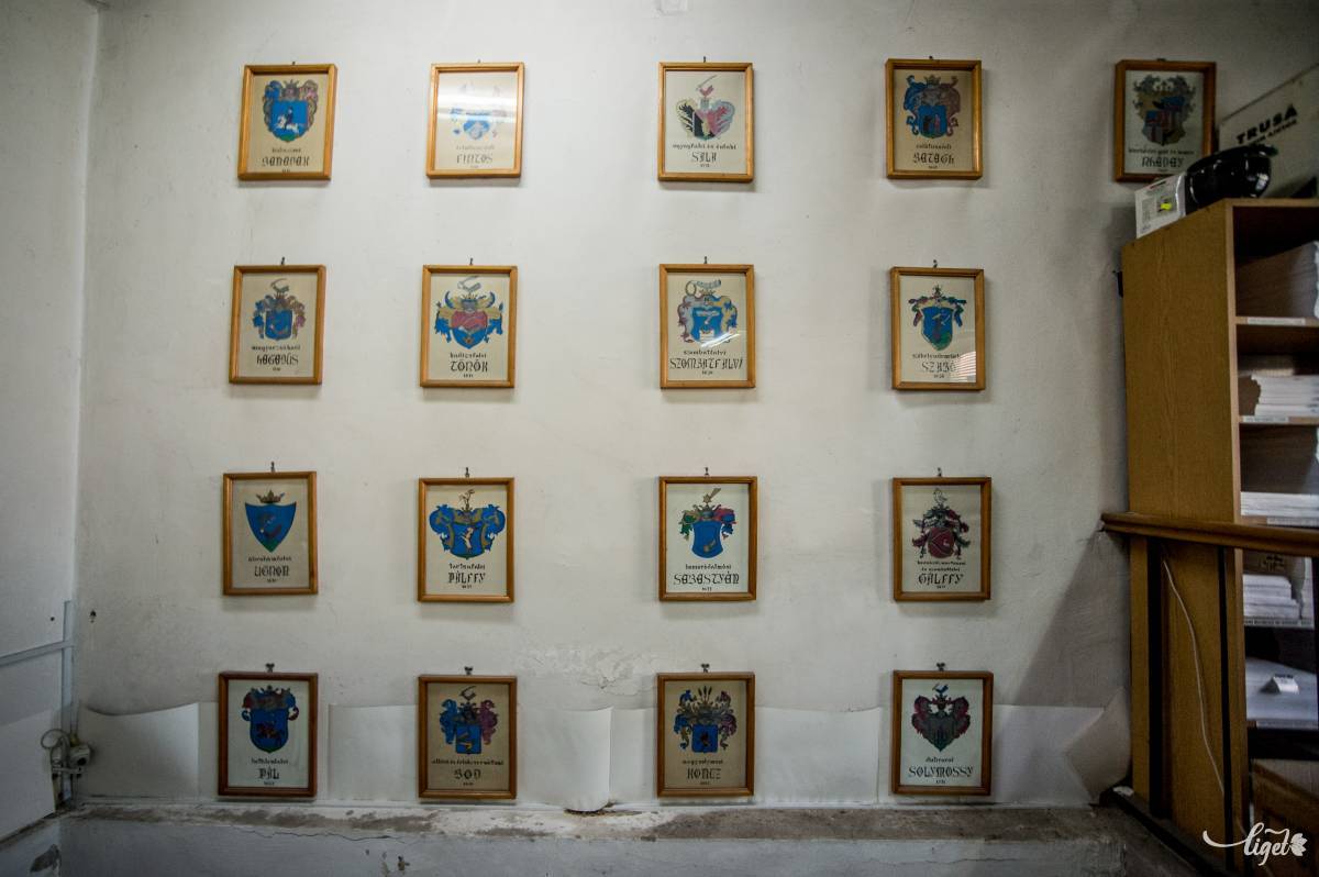 Őrült ágazata a történelemtudománynak •  Fotó: Barabás Ákos