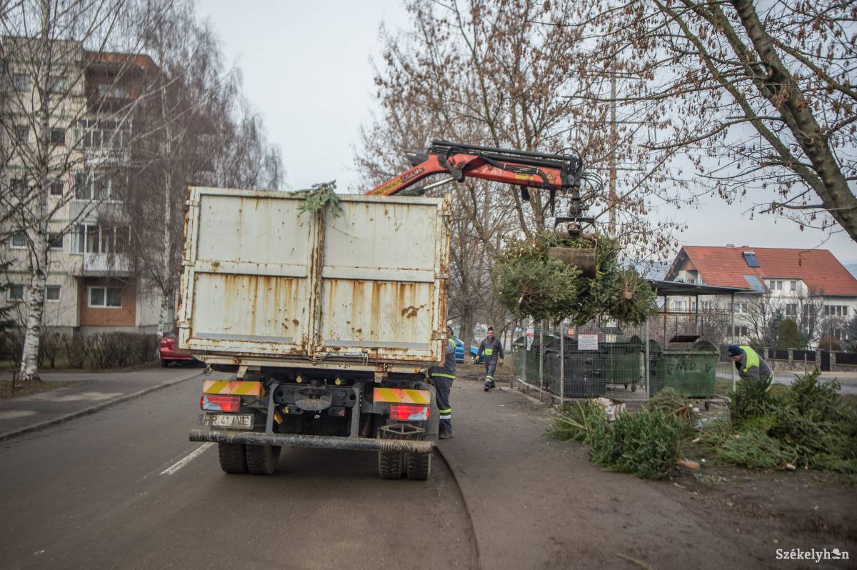 •  Fotó: Barabás Ákos