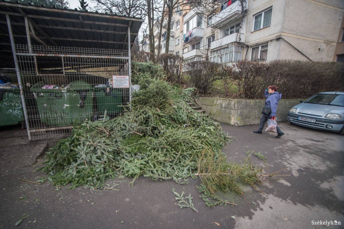 •  Fotó: Barabás Ákos