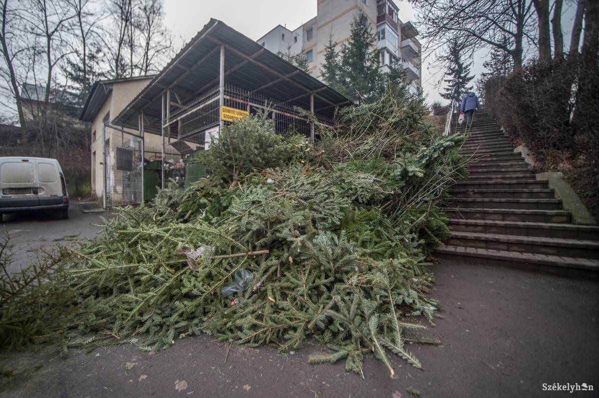 •  Fotó: Barabás Ákos