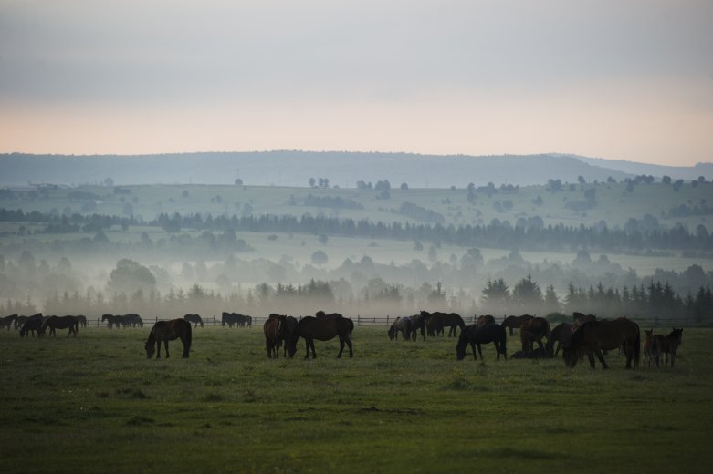 Enyhe téli hőmérséklettel fordul rá a kánikulára Csíkszereda