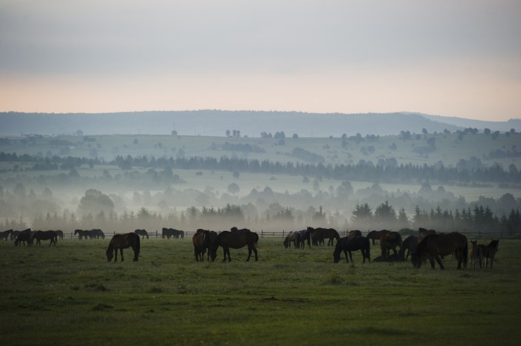Enyhe téli hőmérséklettel fordul rá a kánikulára Csíkszereda