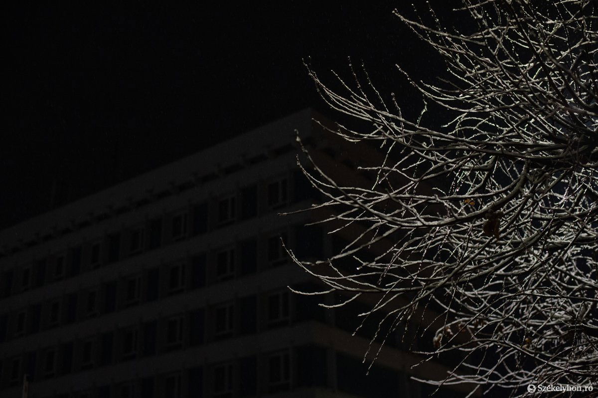 Képünk illusztráció • Fotó: Barabás Ákos