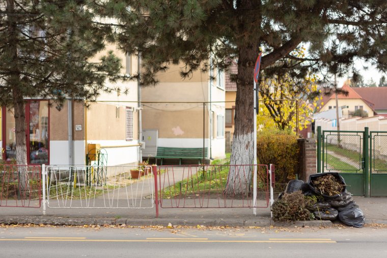 Hétfőn kezdődik a lombtalanítás Székelyudvarhelyen