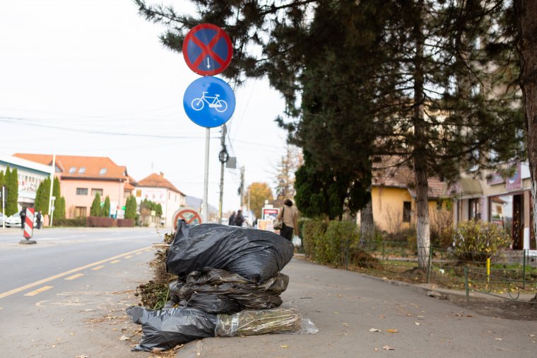 Nem érdemes sunyizni, most csak a zöldhulladékot viszik el ingyenesen