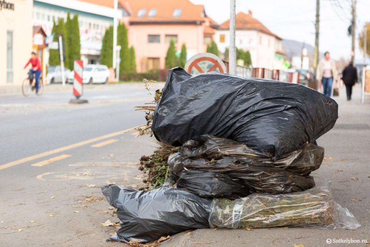 Szabályszerűen kihelyezett zöldhulladék.