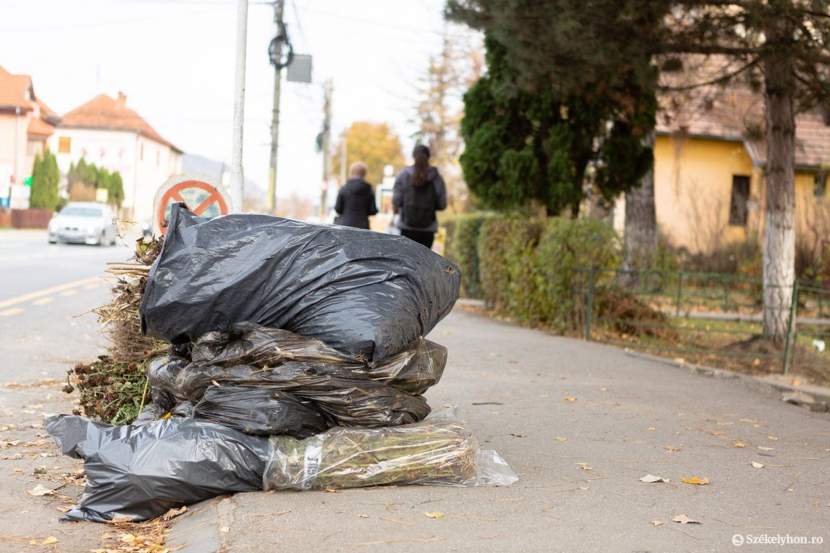 Képünk illusztráció &bullet;  Fotó: Erdély Bálint Előd