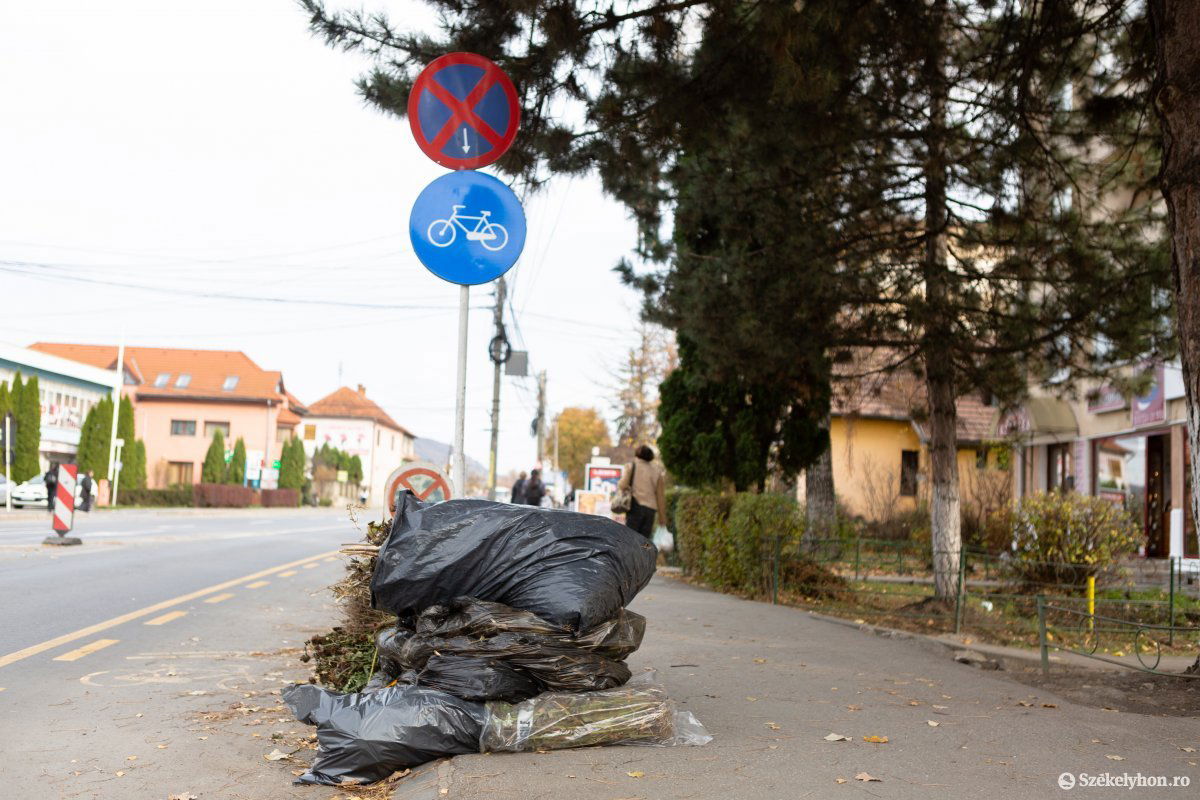 •  Fotó: Erdély Bálint Előd