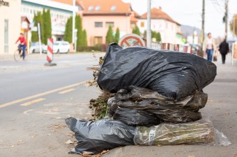 Elkezdődött a zöldhulladék elszállítása Székelyudvarhelyen