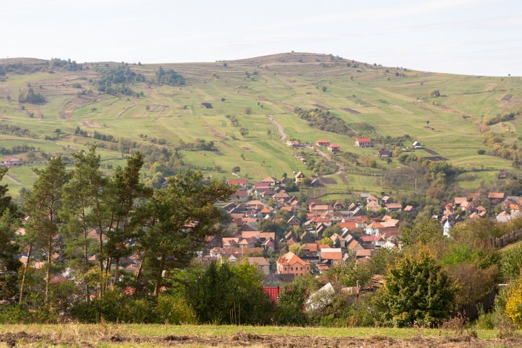 Felborult egy traktor Lövétén, a sofőr életét vesztette